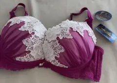 ブラジャー 未使用タグ付き　E70