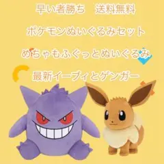 早い者勝ち最新ポケモン ぬいぐるみセット イーブイとゲンガー