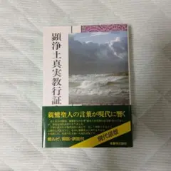 顕浄土真実教行証文類