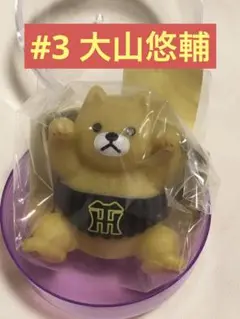 阪神タイガース シープラ限定 腹巻ねこ 大山悠輔