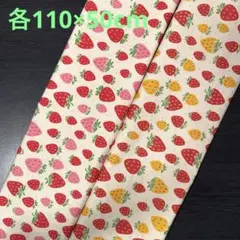 Item thumbnail for item ddd336b9-93ca-4331-9fec-18efd5fa8ae0