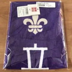 立教大学 箱根駅伝 タオル