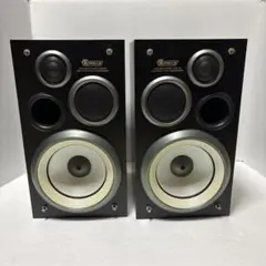 2025年最新】pioneer s-r9vの人気アイテム - メルカリ