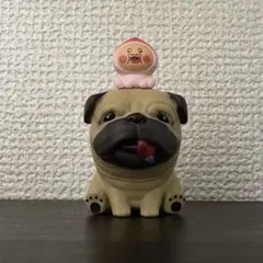 こびとずかん　ガチャガチャ