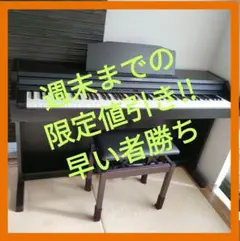 ローランド 電子ピアノ RP501R