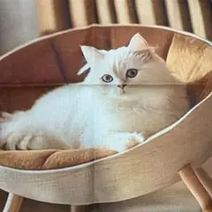 リアルな白い猫のクッションカバー