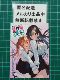 ギルドの受付嬢ですが　アニメイト限定特典４Ｐリーフレット　ギルます３　がおう