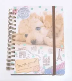 Item thumbnail for item ead9d9fa-18a2-4e32-82bb-d4892a2509a3