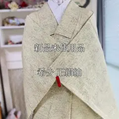 Item thumbnail for item 6a040516-724e-404a-bd65-9d0f26b2e060