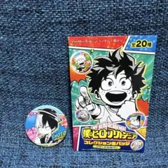 僕のヒーローアカデミア コレクション缶バッジ 轟焦凍
