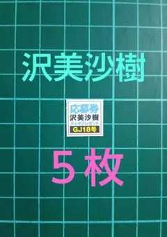 ５枚 応募券、沢美沙樹 直筆サイン入りチェキ　抽プレ グランドジャンプ１８号