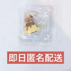 G賞　赤ちゃんコレクション　〜ハッピースイーツシリーズ　ラッコの赤ちゃん