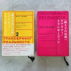 英語版　願望実現の法則　リアリティ▪️トランサーフィン 2 ＆ヒーリングDVD 新しい到着 リアリティ・トランサーフィン 2: 願望実現の法則