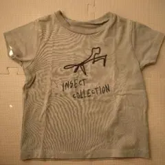 INSECT COLLECTION Tシャツ グレー　カマキリ