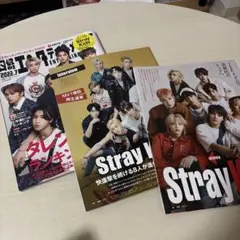 Stray Kids 日経エンタテインメント! 切り抜き