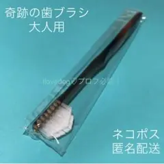 奇跡の歯ブラシ 大人用 1本 クリアブラウン