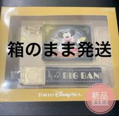Item thumbnail for item 3a618203-e259-48e2-aba5-43bd7357ad70