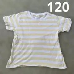 120サイズ 黄色と白のストライプ Tシャツ
