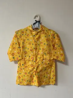 Item thumbnail for item 172656e0-c5e6-437c-b090-51505cbac639