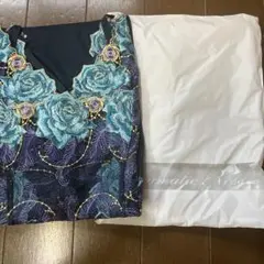 Item thumbnail for item 82ba9930-26ef-42fa-913b-74e309a8e312