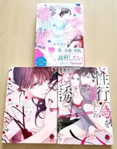 TLコミック本3冊セット