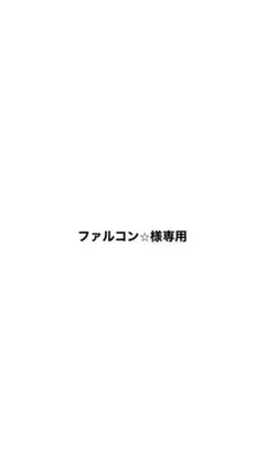 ファルコン様専用