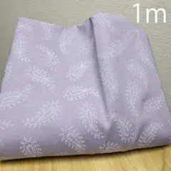 ラス１ 【オークション】1ｍフロッキープリントのペーズリー柄シーチング