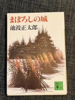 まぼろしの城