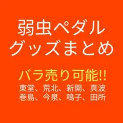 弱ペダ 東堂 荒北 新開 真波 巻島 今泉 鳴子 田所 入場者特典 劇場版 映画