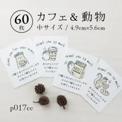 p017cc カフェ＆動物 サンキューカード（中）60枚