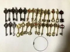 フェアリーテイル FAIRY TALE ルーシィ 精霊の鍵 星霊鍵 【30本】