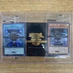 ［51］遊戯王　WCS2017 封筒セット＋リーフレット【カード3点未開封】 2025年最新】wcs2017 封筒の人気アイテム - メルカリ