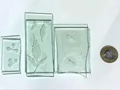 植物 ガラス 雑貨 3点セット