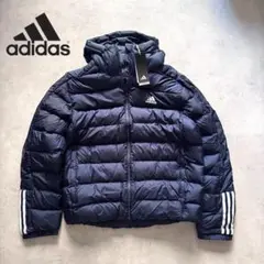 Item thumbnail for item 983761b3-2065-4ecb-bf7d-30629ad16f60