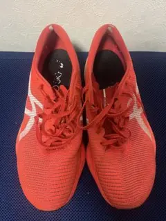 Item thumbnail for item 480df9a5-8259-4f1c-845a-e401a1eb9f18