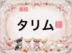 専用