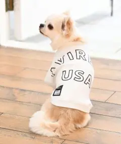 Item thumbnail for item e6d0242d-f2b5-48d2-954c-e01ddc18076b