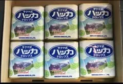 佐久間製菓 サクマ式ドロップスハッカ 6個セット 6点セット