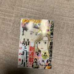 ヤングマガジン 34号 新連載特集