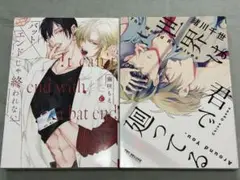 ボーイズラブ漫画2冊セット