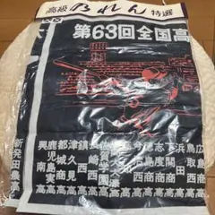 第63回全国高校野球選手権大会 のれん