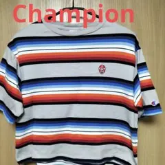 Champion ストライプ クロップドTシャツ