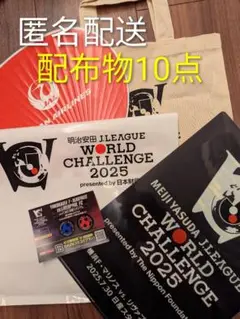 横浜FマリノスVSリヴァプール開催記念グッズ　配布物10点