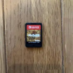 ゼルダの伝説ブレスオブザワイルド カセットのみ