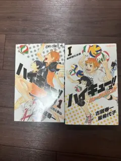 ハイキュー!! 1巻と小説のセット
