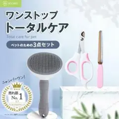 Item thumbnail for item 12007c79-0ee1-400c-b714-7f108ee3d75f