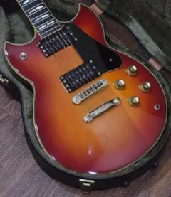 2025年最新】yamaha sg ハードケースの人気アイテム - メルカリ