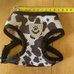Item thumbnail for item c3345f76-e26d-4963-92f9-47958792d062