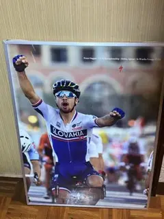 ツールドフランス ペーター サガン実使用直筆サイン入ジャージ Sagan ツールドフランス ペーター サガン実使用直筆サイン入ジャージ