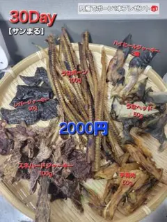 Item thumbnail for item dc8a50e5-9f73-4d6c-8de1-2119f15dbf26